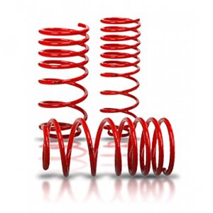 MX5 V-Maxx 30 mm Lowering Spring Set