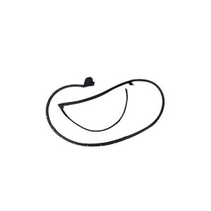 MX5 Door seal left side